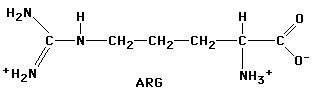 313x93x2c GIF of Arginine