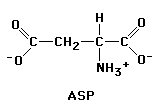 158x106x2c GIF of Aspartic acid