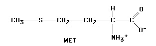 313x93x2c GIF of Methionine