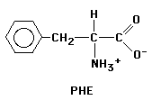 169x111x2c GIF of Phenylalanine