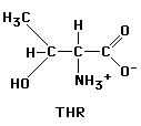 127x114x2c GIF of Threonine