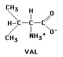 127x114x2c GIF of Valine